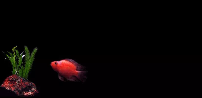 MOPy – A screensaver that was bad for the environment